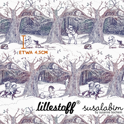 Susalabims Winterwald Verlauf, Webware, SUSAlabim