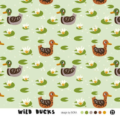Wild Ducks, Jersey, BORA
