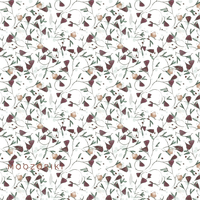 Music Of Flowers, Webware, Moozoriki