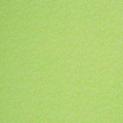Dotty, Baumwolle Webware mit Punkten, kiwi von Swafing