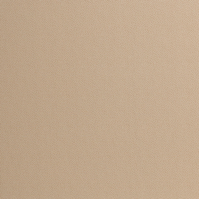 Dotty, Baumwolle Webware mit Punkten, beige/Ton-in-Ton von Swafing